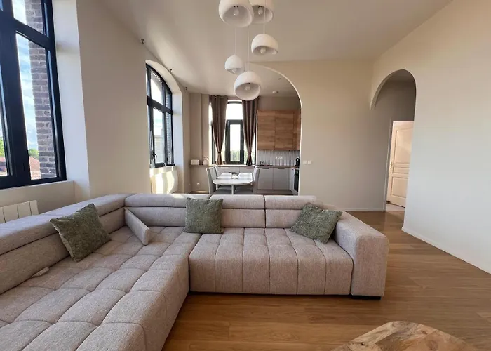 Spacieux Et Lumineux Aux Portes Du Coeur De Apartment Troyes